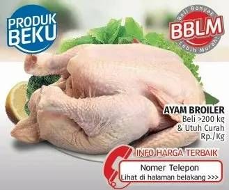 Promo Harga Ayam Broiler  - Lotte Grosir