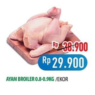 Promo Harga Ayam Broiler 800 gr - Hypermart