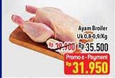 Promo Harga Ayam Broiler 800 gr - Hypermart