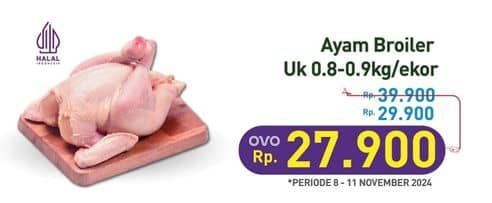 Promo Harga Ayam Broiler 800 gr - Hypermart