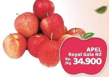 Promo Harga Apel Royal Gala NZ per 1000 gr - Lotte Grosir