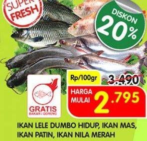 Promo Harga Ikan lele dumbo hidup, Ikan mas, Ikan patin, Ikan nila merah  - Superindo