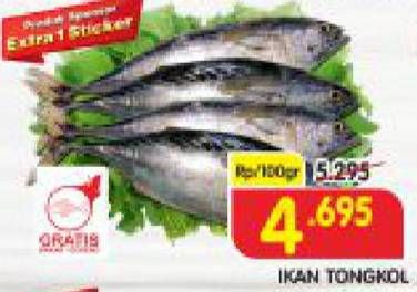 Promo Harga Ikan Tongkol  - Superindo