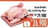 Promo Harga Ayam Broiler 900 gr - Hypermart