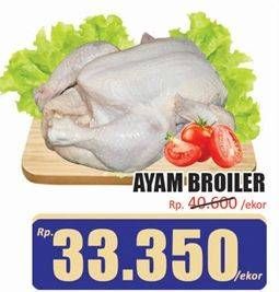 Promo Harga Ayam Broiler 800 gr - Hari Hari