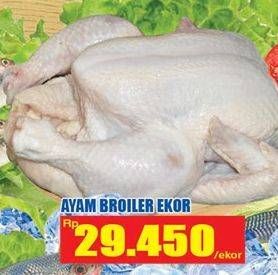 Promo Harga Ayam Broiler Ekor  - Hari Hari