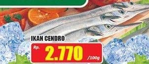 Promo Harga Ikan Cendro per 100 gr - Hari Hari