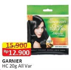 Promo Harga GARNIER Hair Color All Variants 20 gr - Alfamart