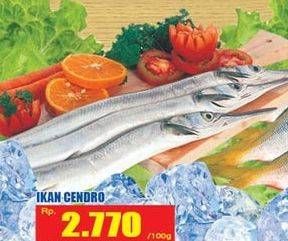 Promo Harga Ikan Cendro per 100 gr - Hari Hari