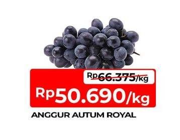 Promo Harga Anggur Autumn Royal  - TIP TOP