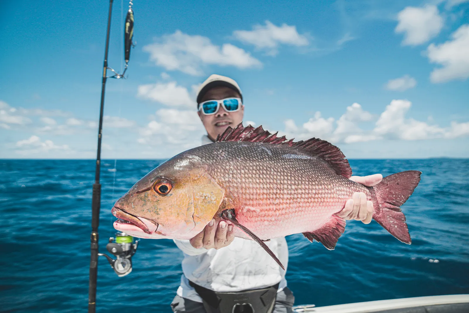 Coral trout