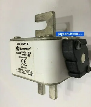Fuse 170M6114 1000A Bussman
