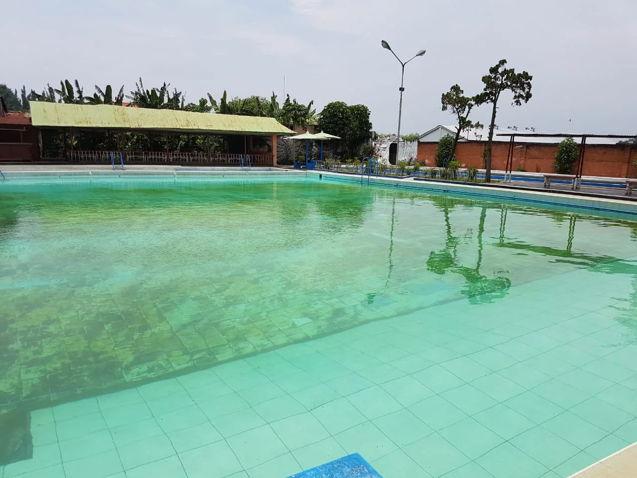 Lahan Raya Gringu-Probolinggo, Ada Kolam — foto 4