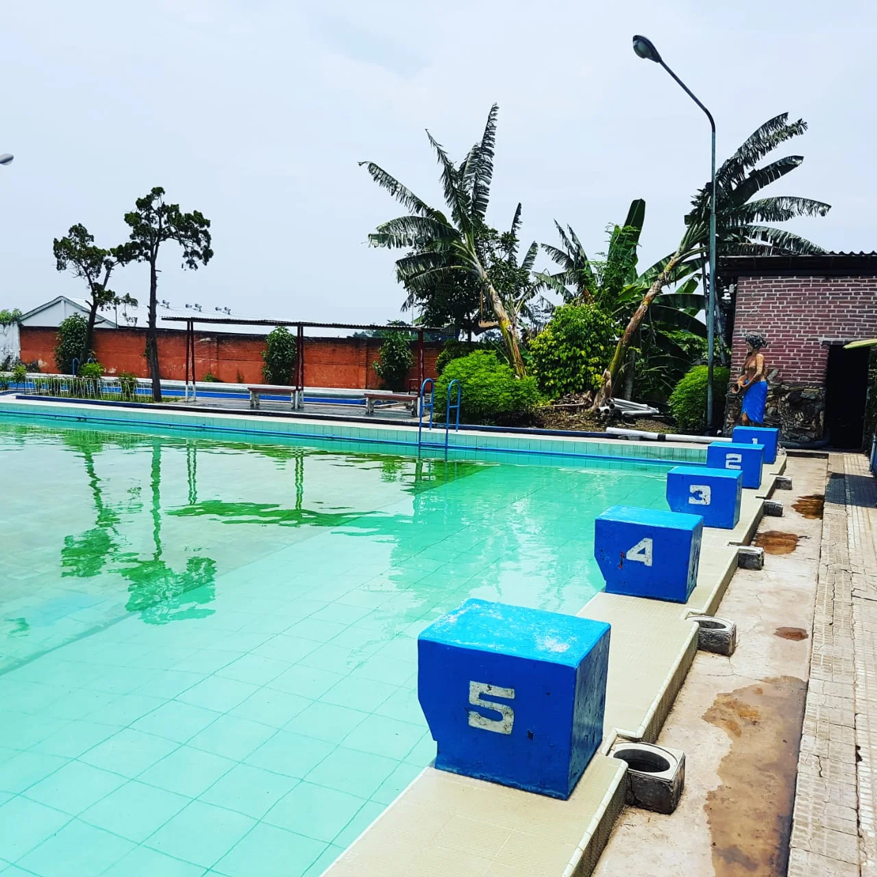 Lahan Raya Gringu-Probolinggo, Ada Kolam — foto 8