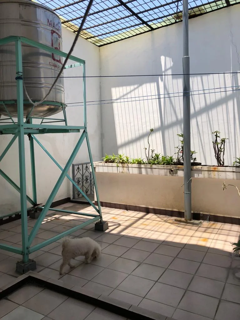 Ruko Jalan Raya Kapas Krampung — foto 6